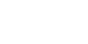 TheBricklight.png