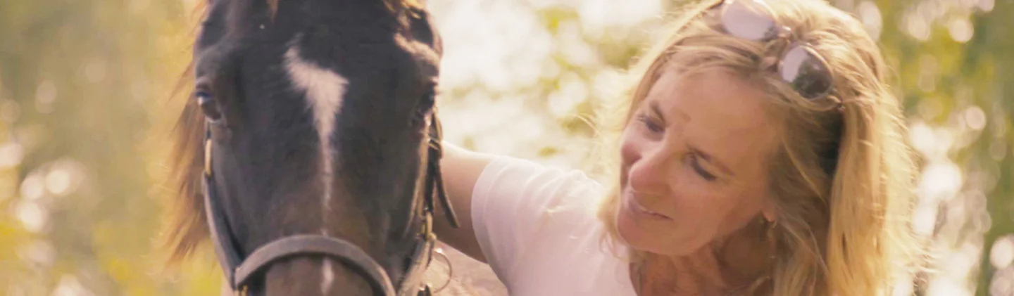 ONTARIO LOTTERY & GAMING